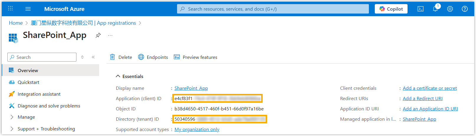The application overview page listing the client ID and tenant ID