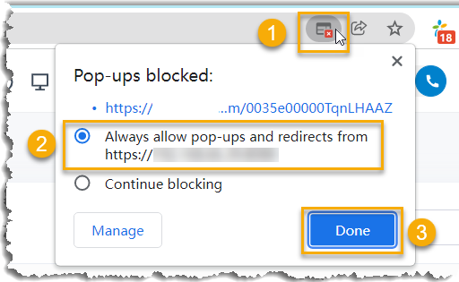 Allowing pop-up windows and site redirection from the browser address bar