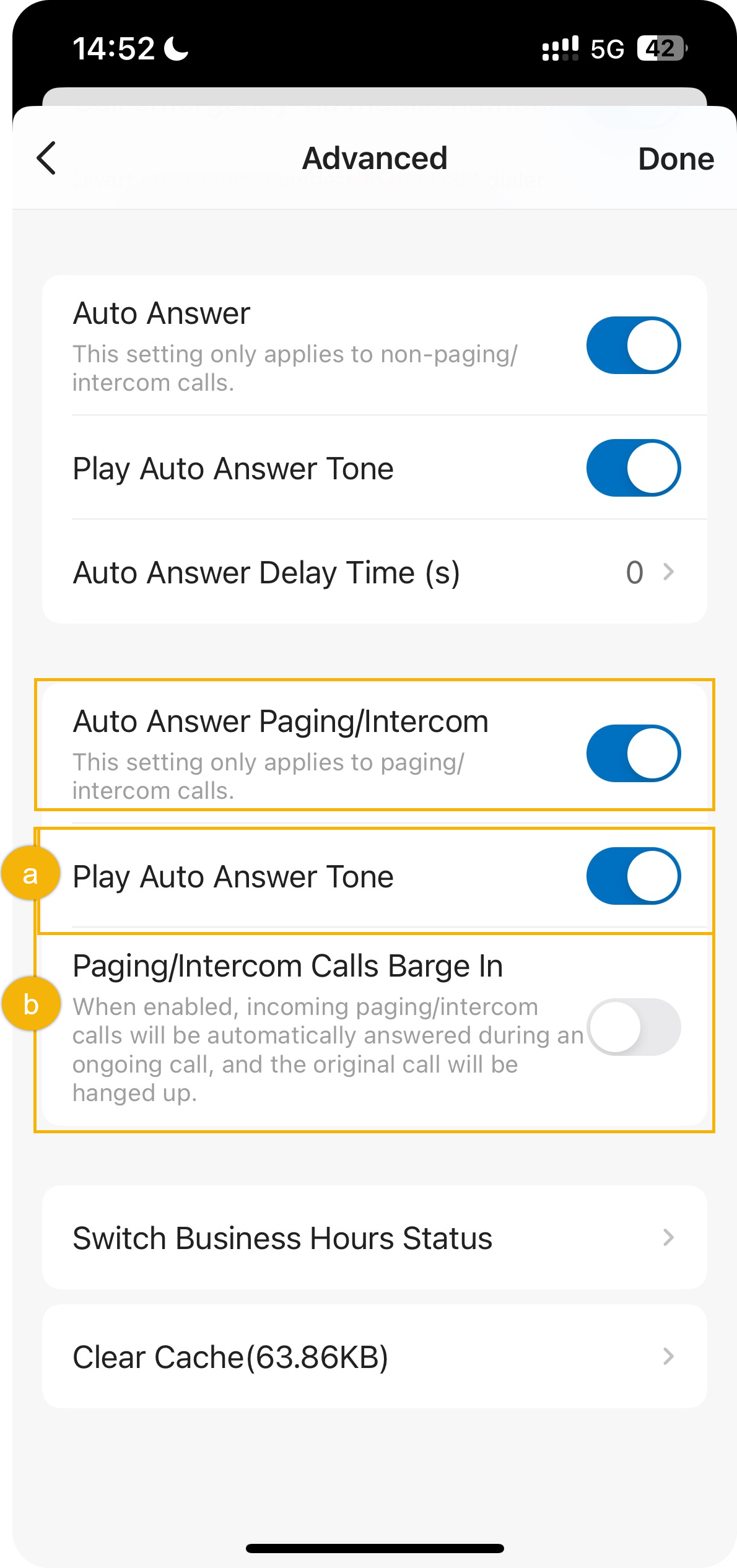 Advanced settings with the auto answer toggle and its related options