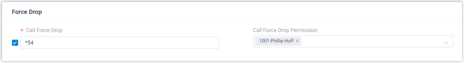 Force Drop settings showing the feature code and the extension permission list
