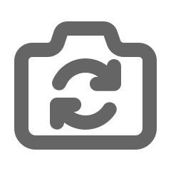 Camera switch icon