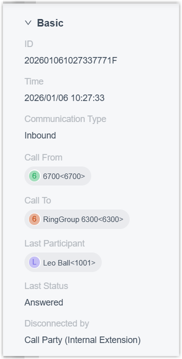 The basic call information panel summarizing a single call record