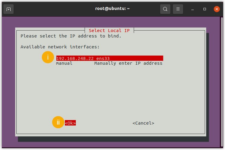 Selecting the host's static IP from available network interfaces