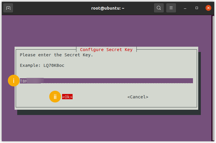 Entering the secret key in the wizard