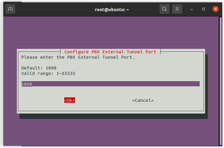 Confirming the PBX external tunnel port value