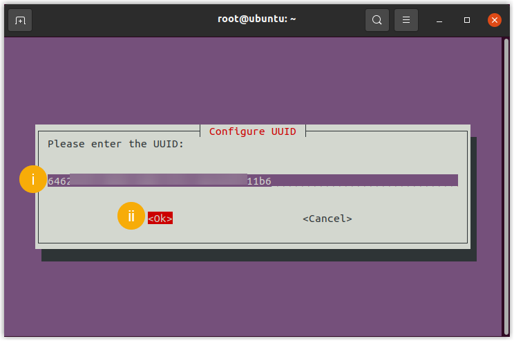 Entering the UUID in the wizard