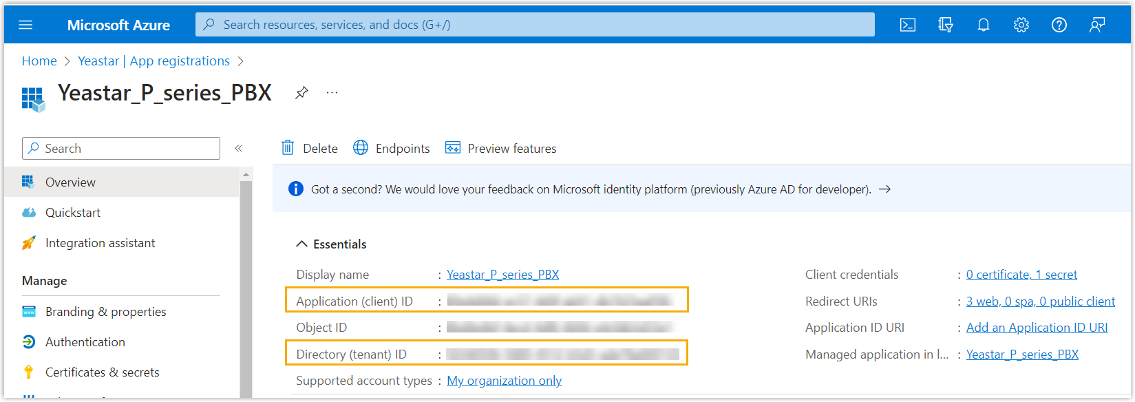 The application Overview page showing the client ID and tenant ID values