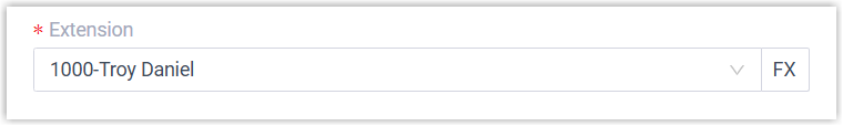 Selecting the target extension for the lookup