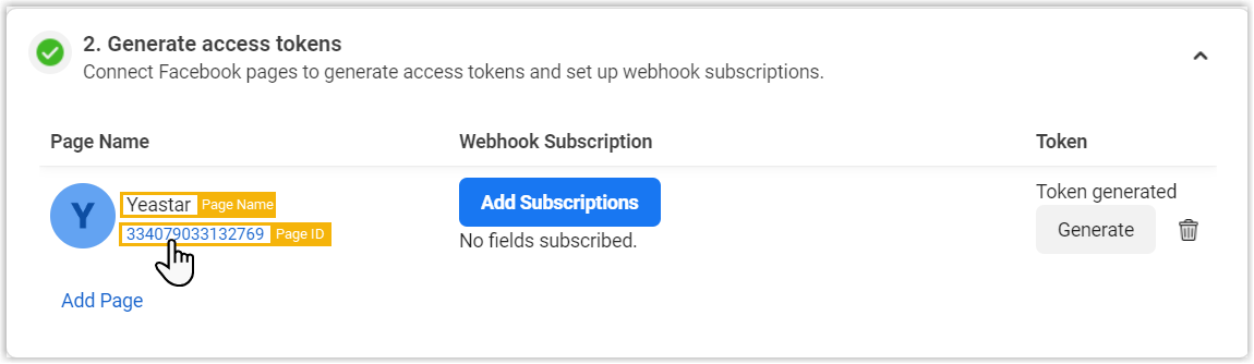 Facebook Page name and ID shown in the token panel