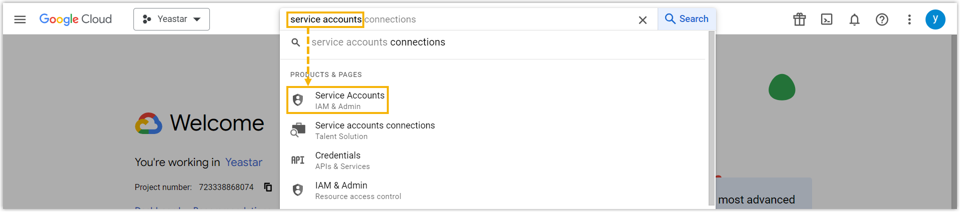 Searching for Service Accounts in the Google Cloud search bar