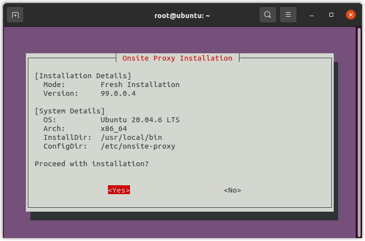 Terminal installer confirming the proxy version and operating system before install