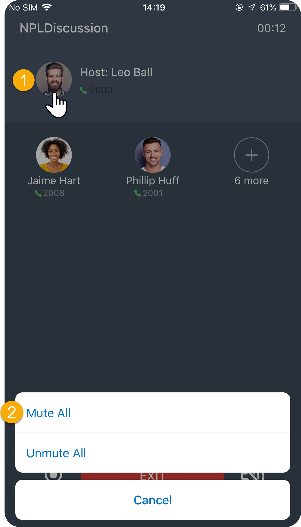 Muting all participants at once from the Cloud Voice App