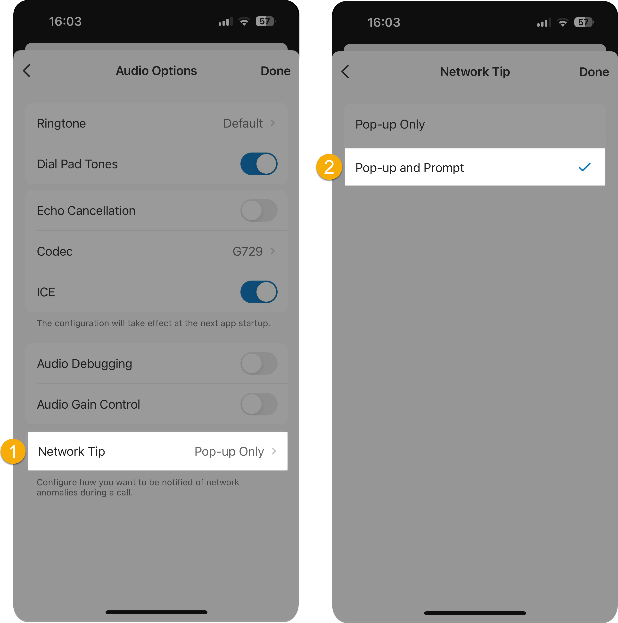 Audio Options screen with the Network Tip alert style set to pop-up and prompt