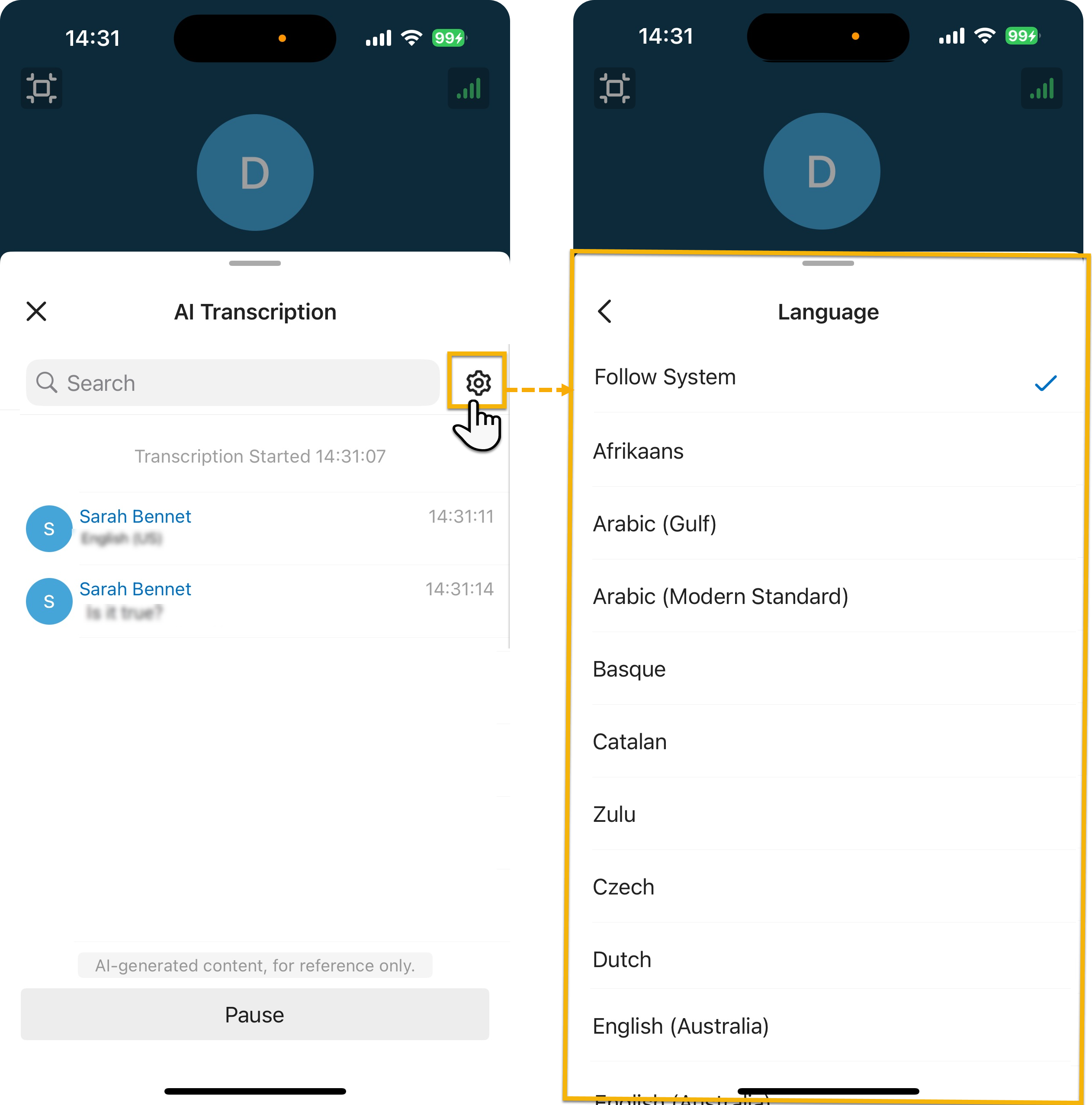 Language panel for choosing the transcription language