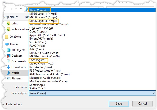 WavePad save dialog showing the file type dropdown