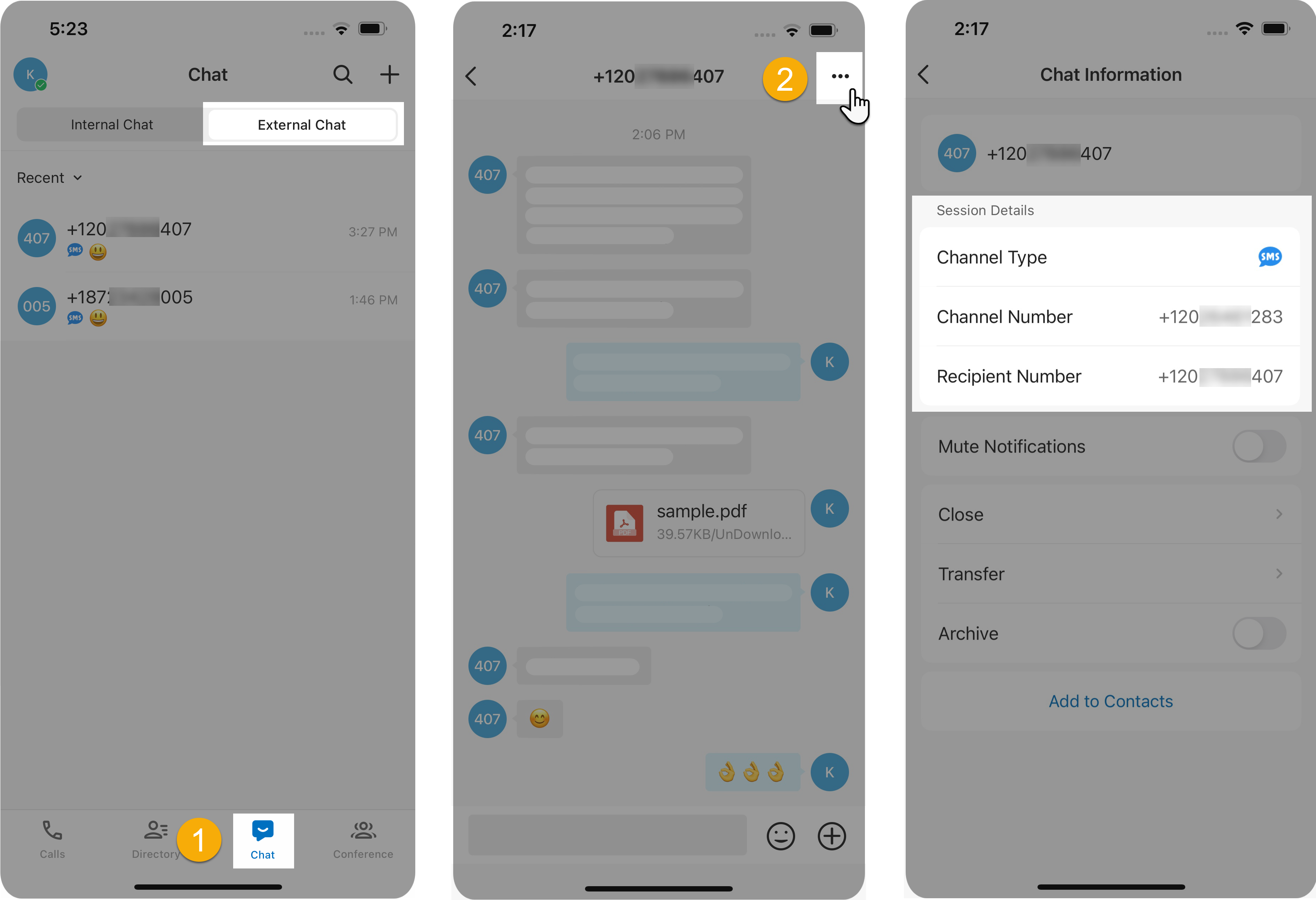 Viewing the source channel and other details for a messaging session