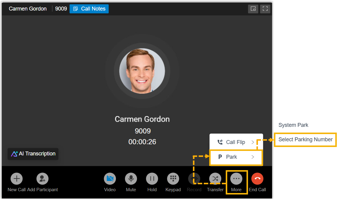 Call window controls with Park expanded and Selected Park Number chosen