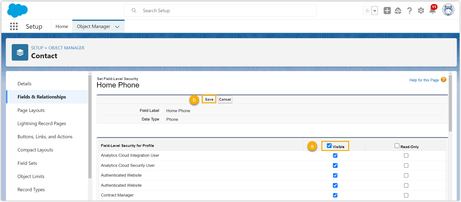 Visible checkbox selected in the Field-Level Security settings