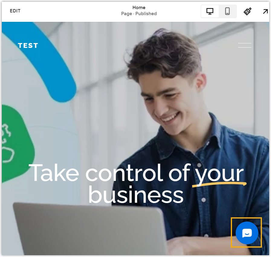 Live Chat widget displayed in the lower-right corner of the published site