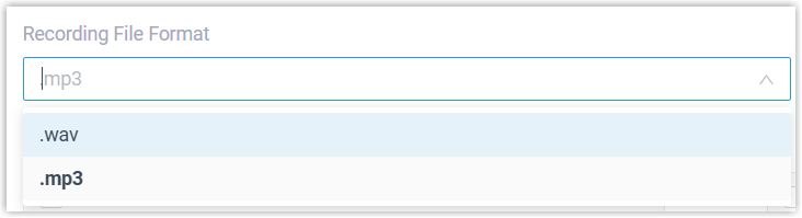 Recording File Format drop-down showing the available download formats