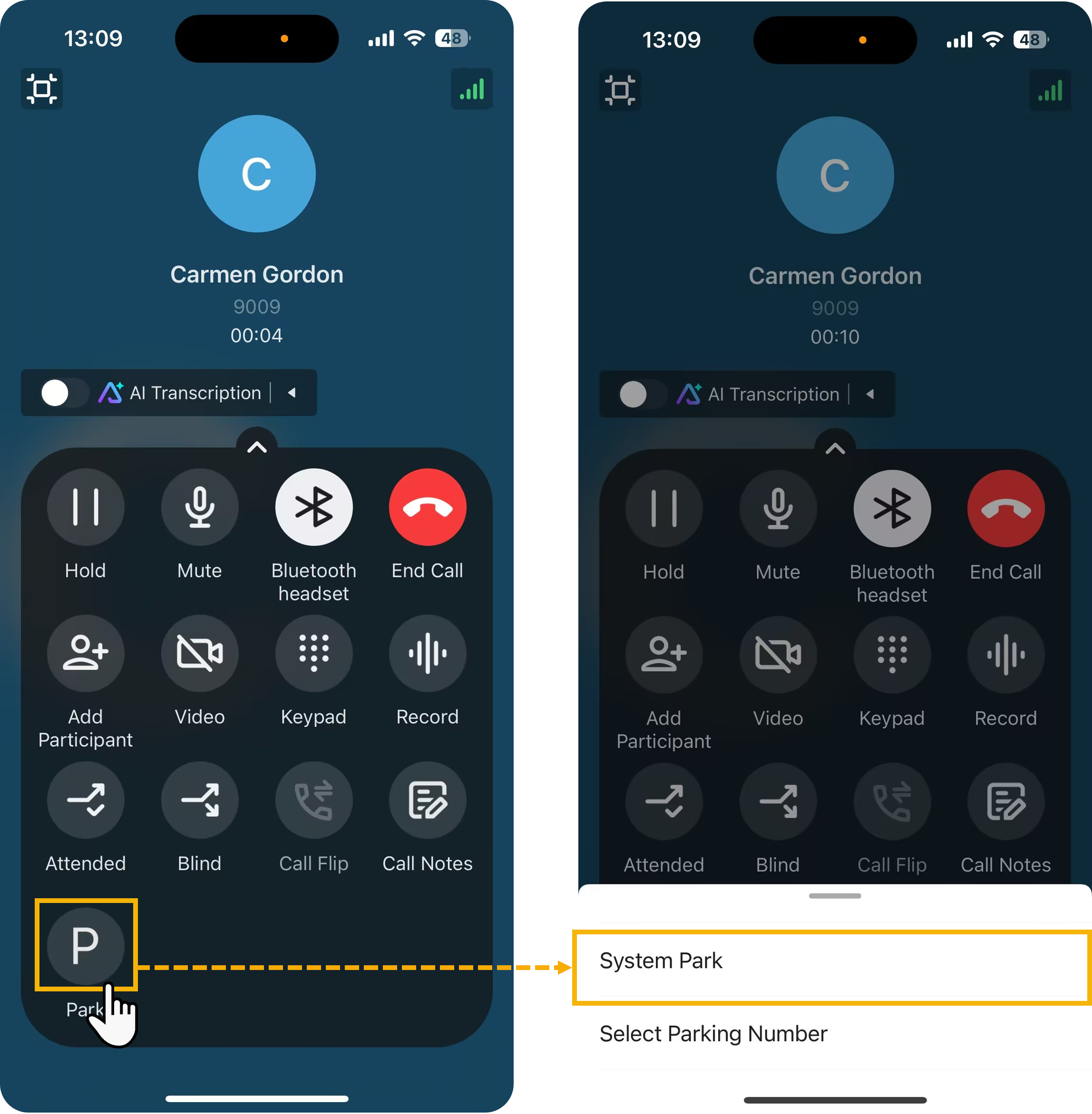 Park control on the mobile call screen with the System Park option selected