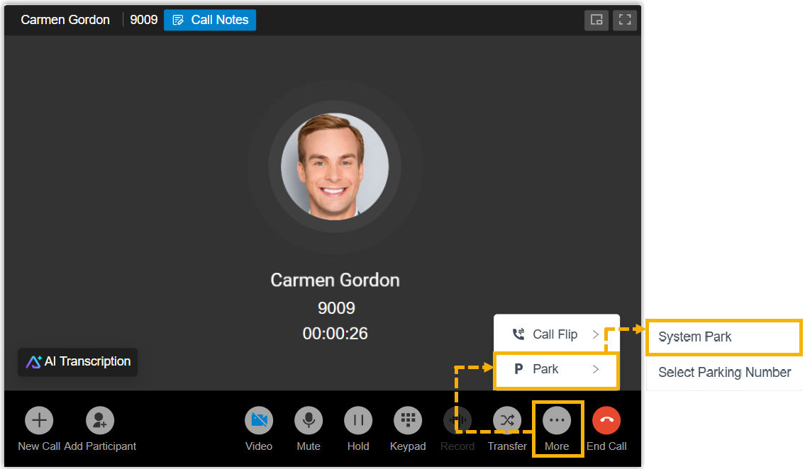 Call window controls with the Park option expanded and System Park selected