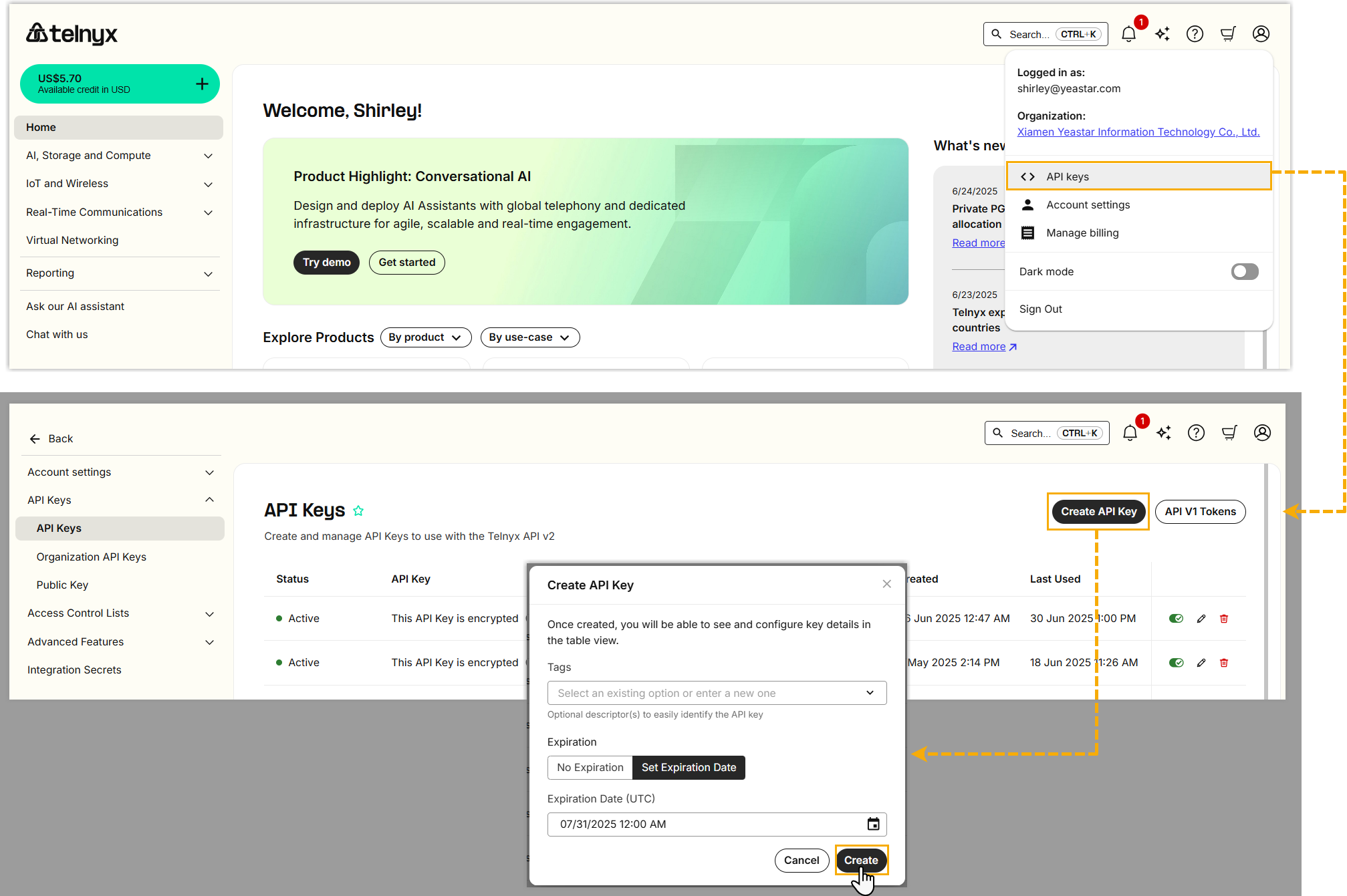 Cloud Voice, creating a new API key in the Telnyx portal