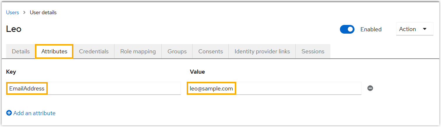 Adding a custom email attribute with key and value